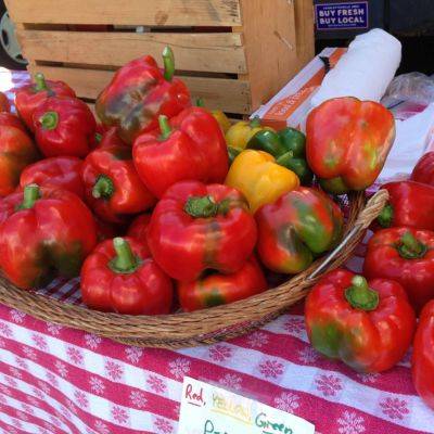 Forest Lake Farmers Market Charlottesville VA